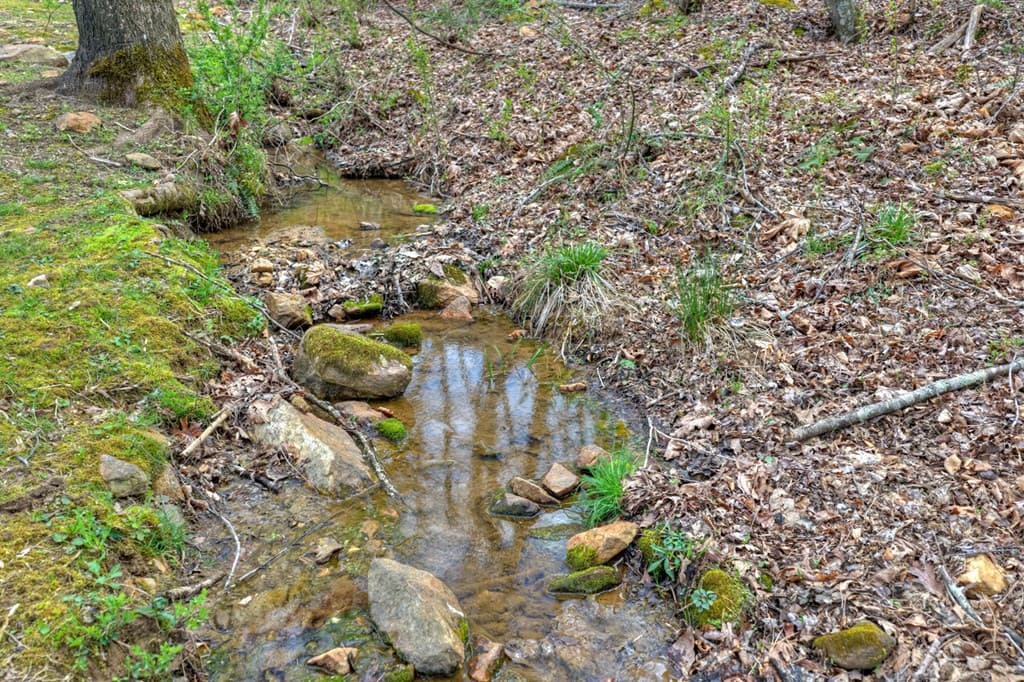 Lot 45 Big Valley Drive, Morganton GA 30560 - Photo