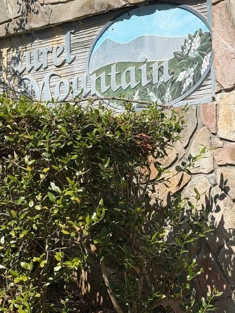 Lot 16 Laurel Mountain, Brasstown NC 28902 - Photo