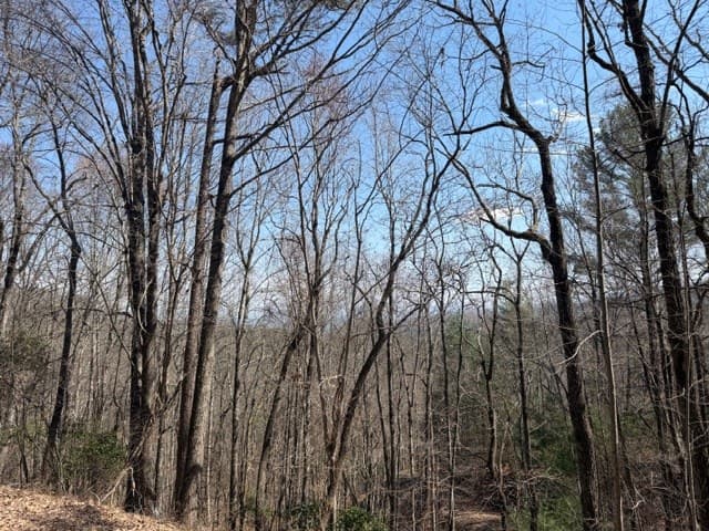 Lot 16 Laurel Mountain, Brasstown NC 28902 - Photo