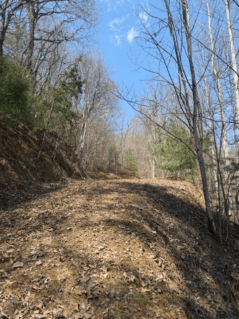 Lot 16 Laurel Mountain, Brasstown NC 28902 - Photo