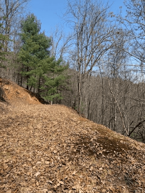 Lot 16 Laurel Mountain, Brasstown NC 28902 - Photo