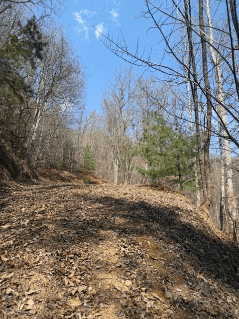 Lot 16 Laurel Mountain, Brasstown NC 28902 - Photo