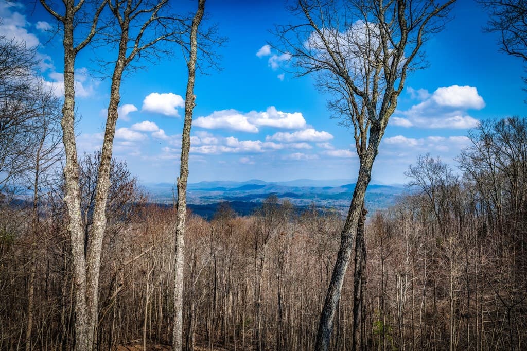 176 Katahdin Drive, Mineral Bluff GA 30559 - Photo