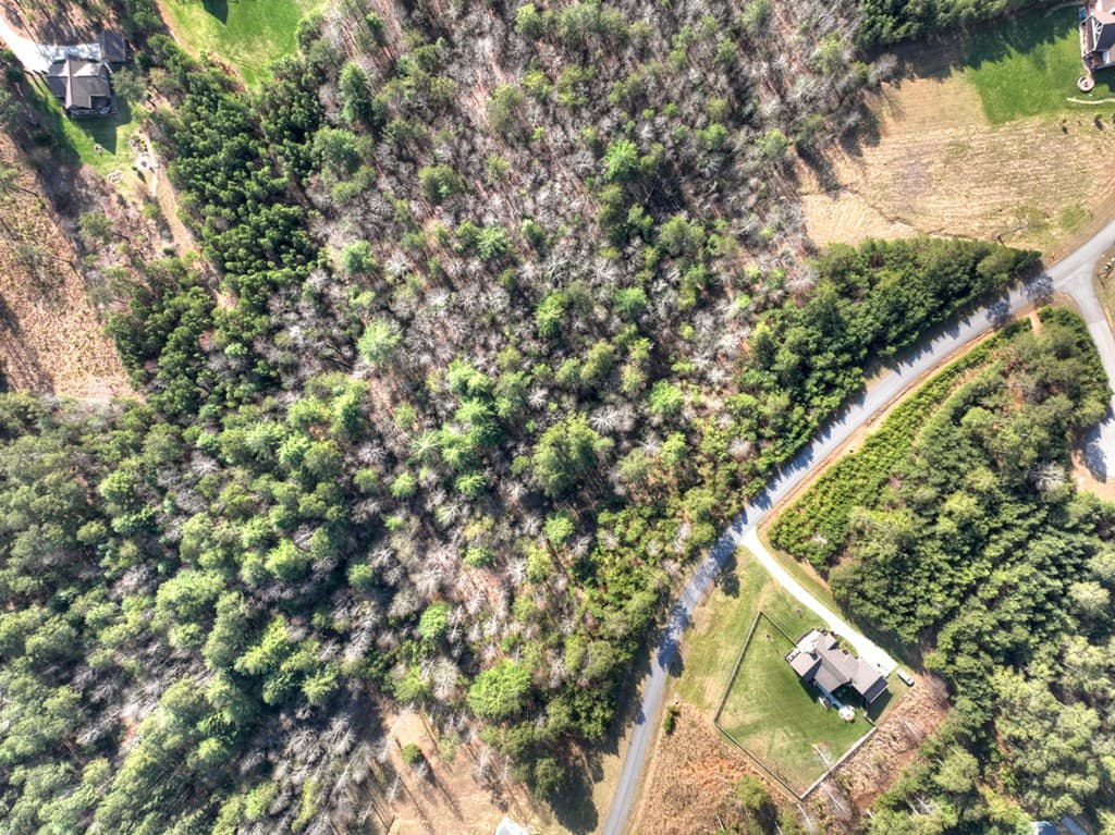 LOT 233 Ridge Pointe Way, Blairsville GA 30512 - Photo