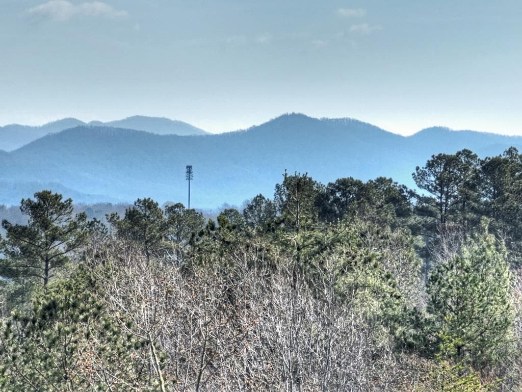 LOT 233 Ridge Pointe Way, Blairsville GA 30512 - Photo