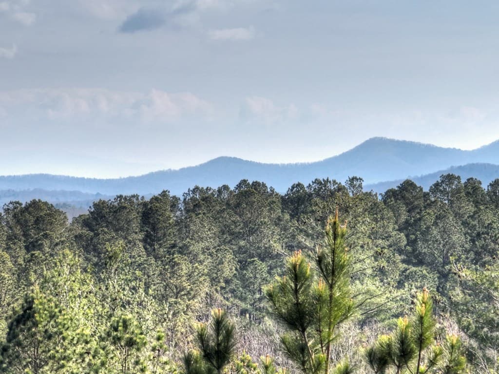 LOT 233 Ridge Pointe Way, Blairsville GA 30512 - Photo