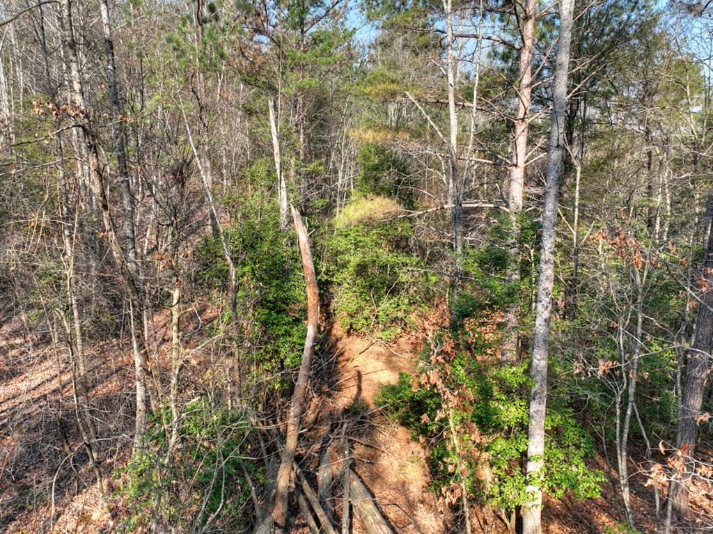 LOT 233 Ridge Pointe Way, Blairsville GA 30512 - Photo
