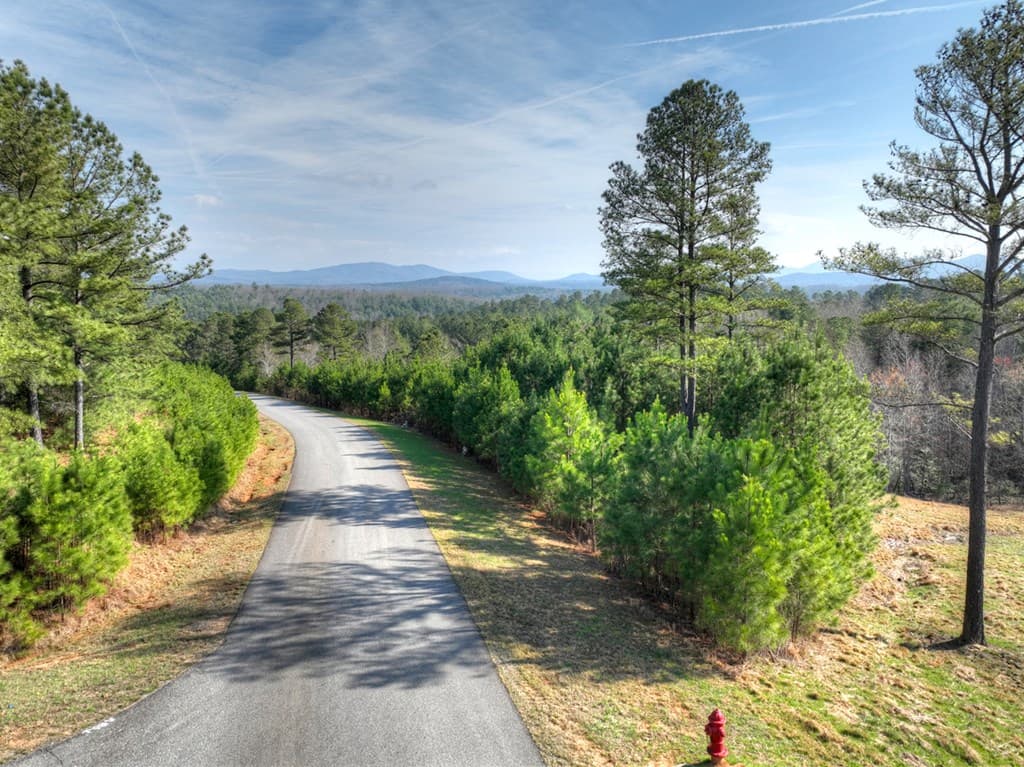 LOT 233 Ridge Pointe Way, Blairsville GA 30512 - Photo