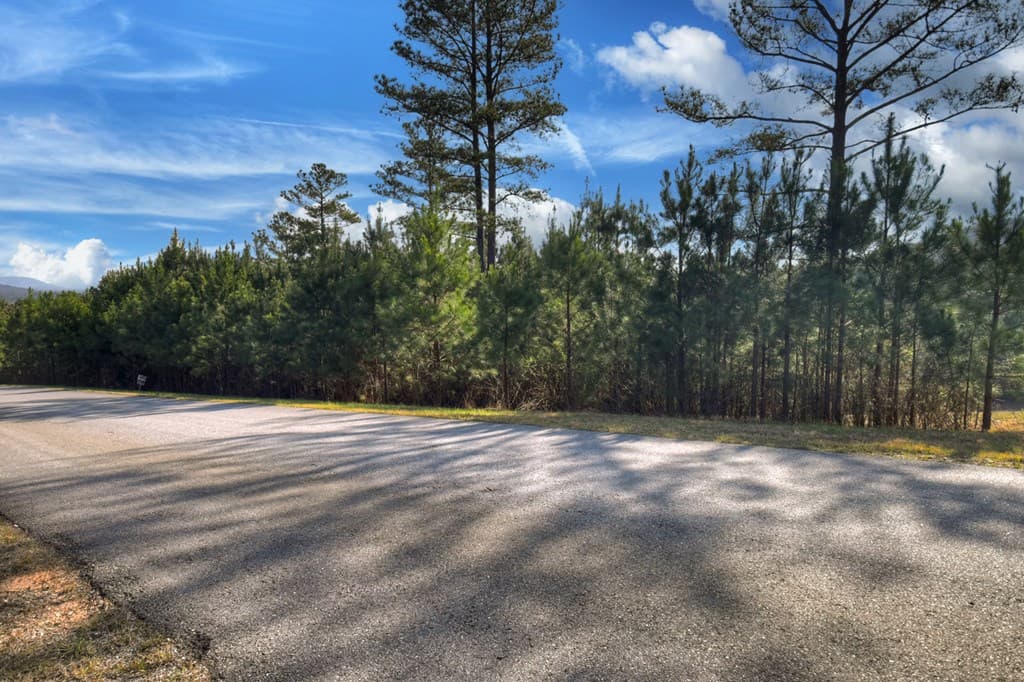LOT 233 Ridge Pointe Way, Blairsville GA 30512 - Photo