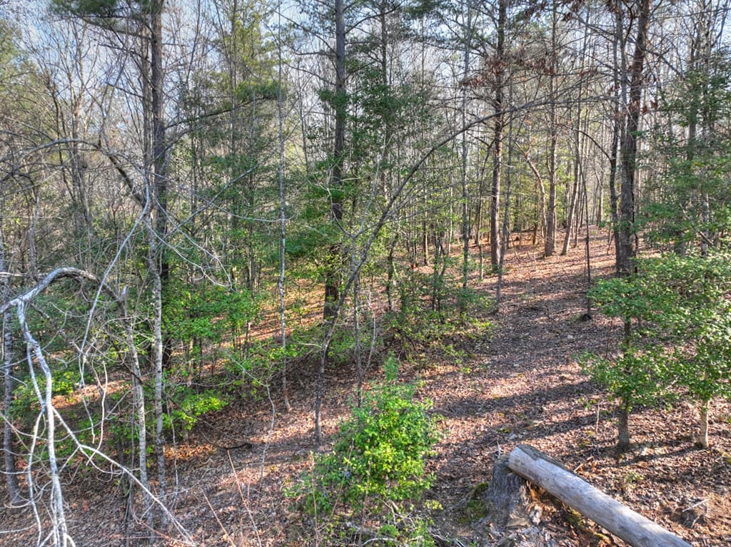 LOT 233 Ridge Pointe Way, Blairsville GA 30512 - Photo