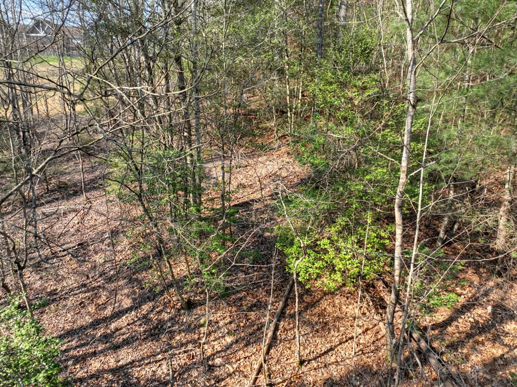 LOT 233 Ridge Pointe Way, Blairsville GA 30512 - Photo