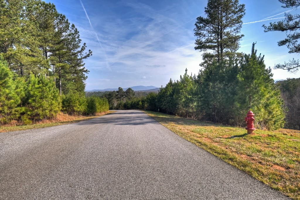 LOT 233 Ridge Pointe Way, Blairsville GA 30512 - Photo