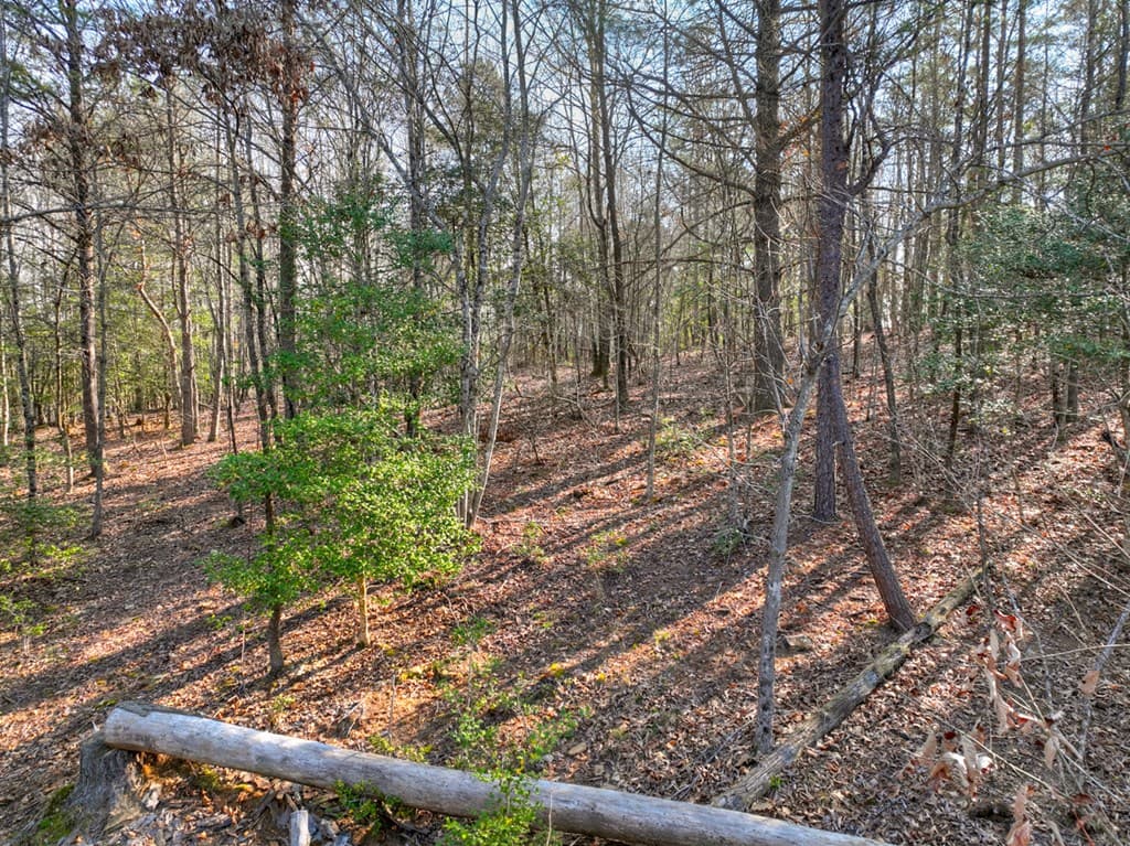 LOT 233 Ridge Pointe Way, Blairsville GA 30512 - Photo
