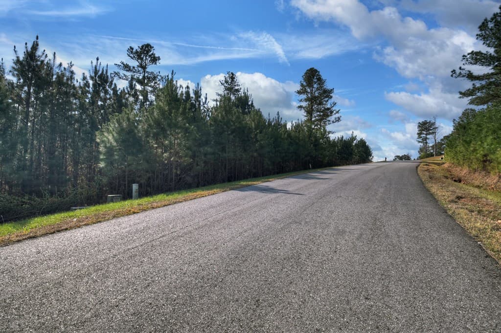 LOT 233 Ridge Pointe Way, Blairsville GA 30512 - Photo
