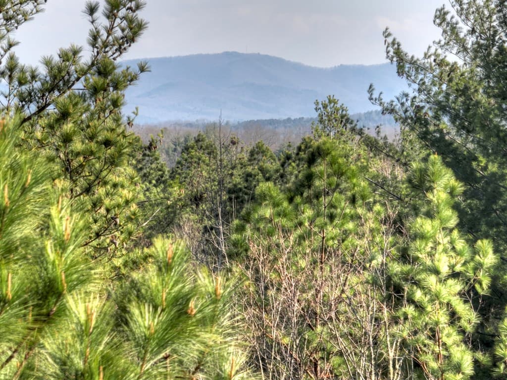LOT 233 Ridge Pointe Way, Blairsville GA 30512 - Photo