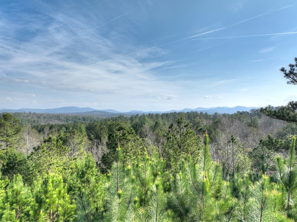 LOT 233 Ridge Pointe Way, Blairsville GA 30512 - Photo