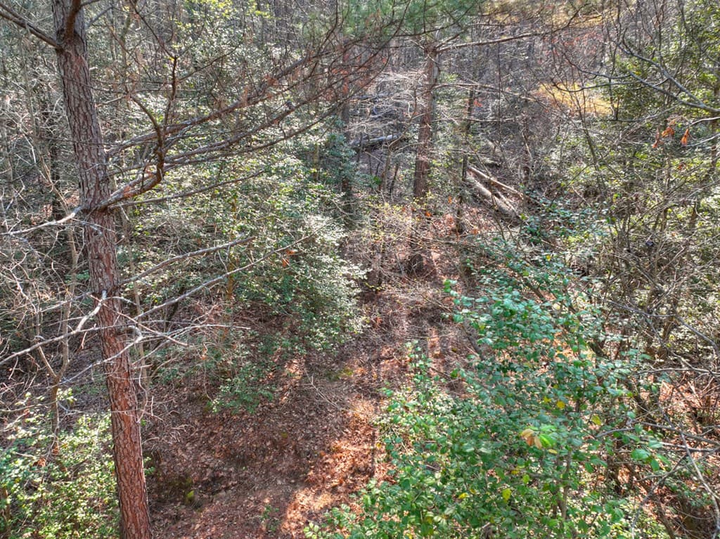 LOT 233 Ridge Pointe Way, Blairsville GA 30512 - Photo