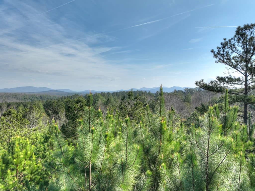 LOT 233 Ridge Pointe Way, Blairsville GA 30512 - Photo
