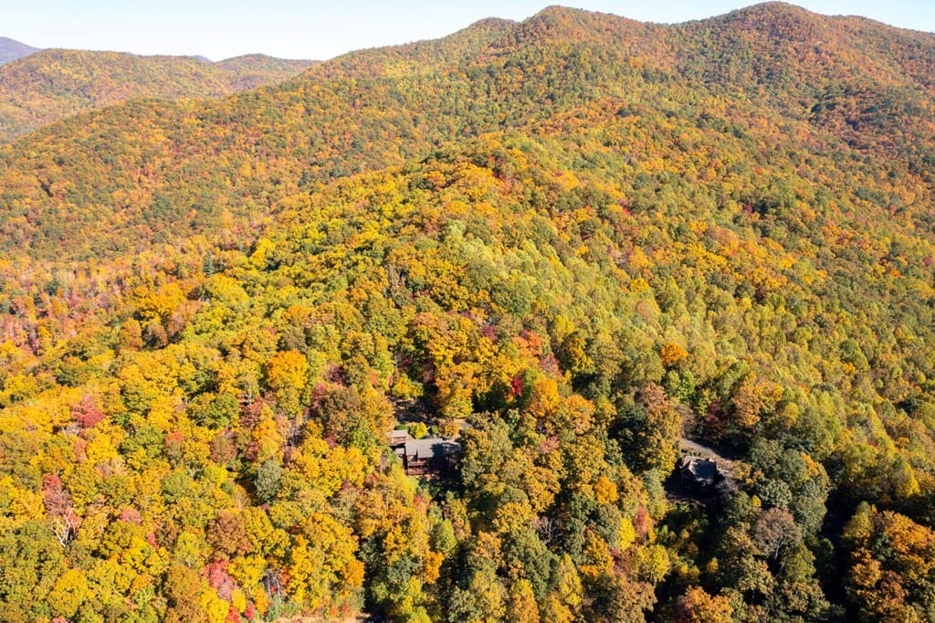 7031 Black Bear Trail, Hiawassee GA 30546 - Photo