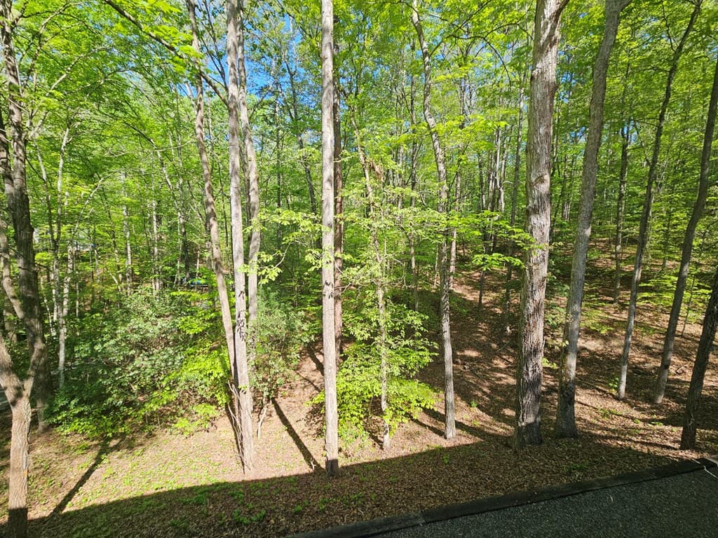 421 Sleepy Hollow Drive, Murphy NC 28906 - Photo