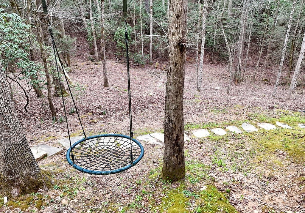 2587 Goose Island Road, Cherry Log GA 30522 - Photo