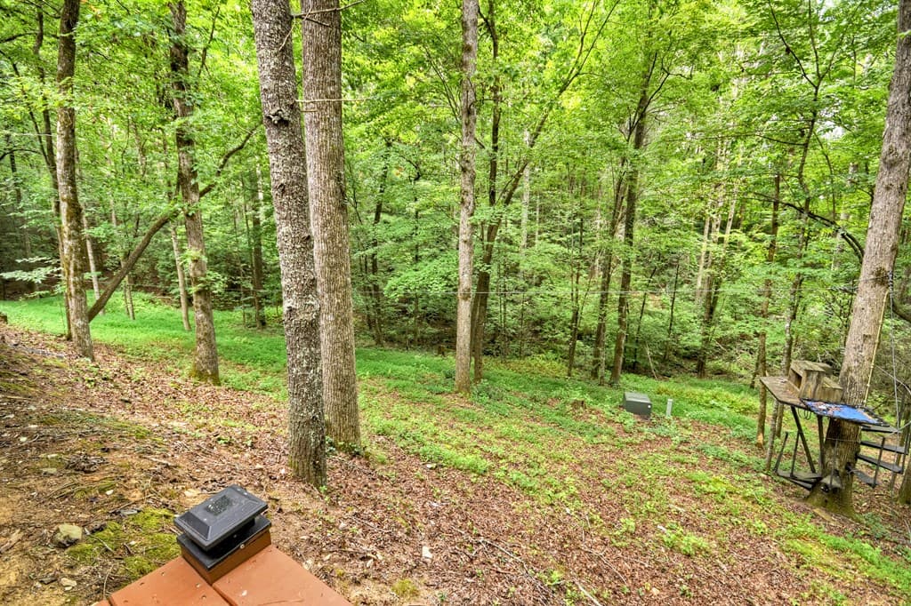 2587 Goose Island Road, Cherry Log GA 30522 - Photo