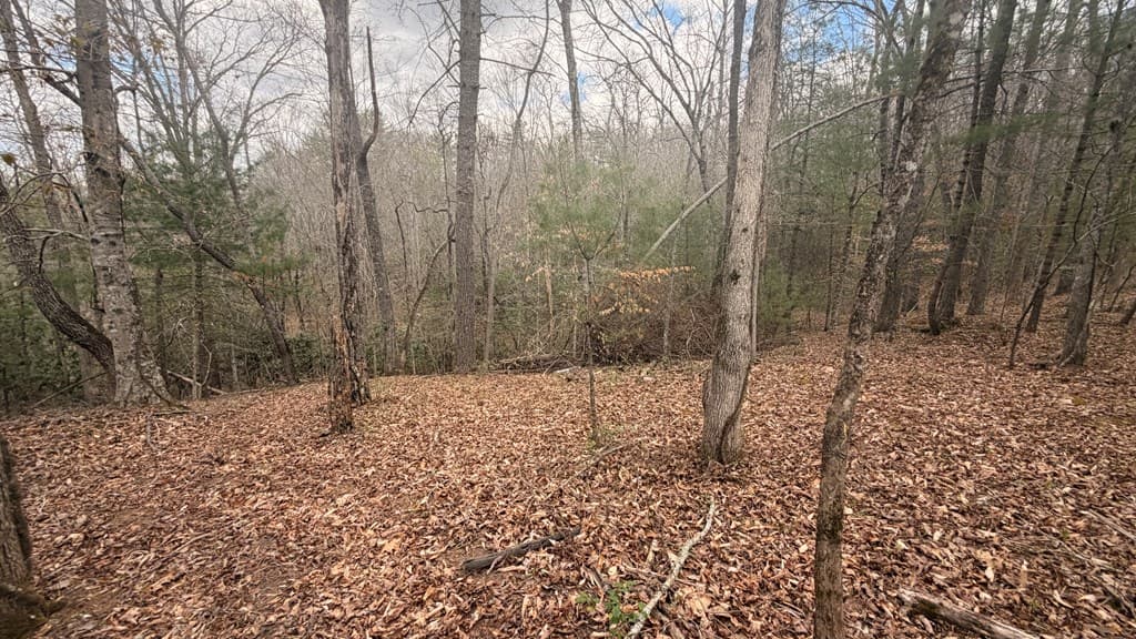 #9 Mill Creek Hollow, Hayesville NC 28904 - Photo
