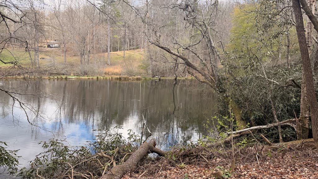#9 Mill Creek Hollow, Hayesville NC 28904 - Photo