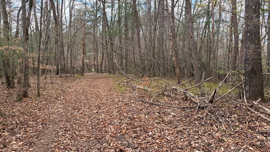 #9 Mill Creek Hollow, Hayesville NC 28904 - Photo