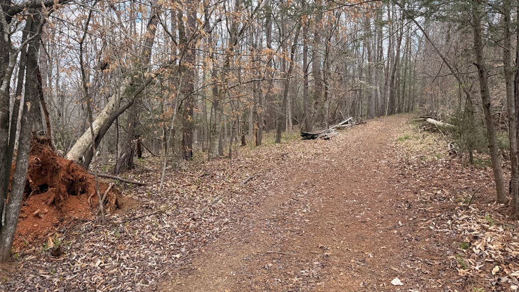 #9 Mill Creek Hollow, Hayesville NC 28904 - Photo