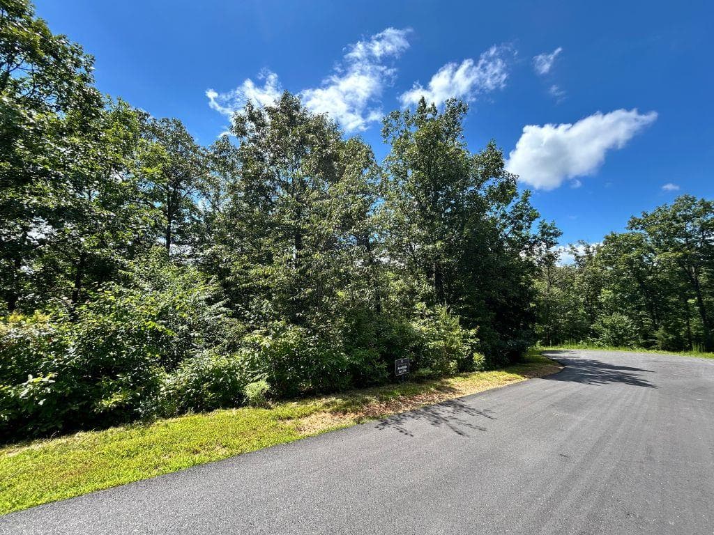 Lot 196 NW Trails End Way, Mineral Bluff GA 30559 - Photo