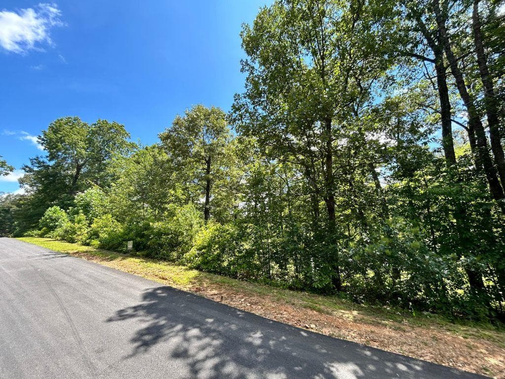 Lot 196 NW Trails End Way, Mineral Bluff GA 30559 - Photo