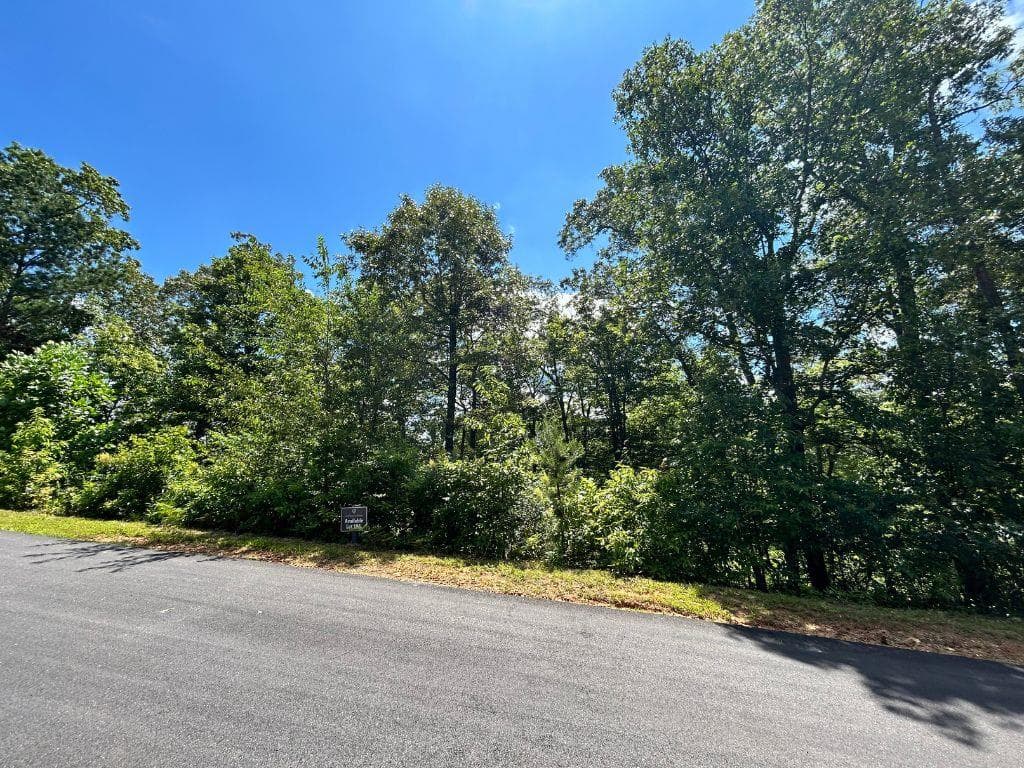 Lot 196 NW Trails End Way, Mineral Bluff GA 30559 - Photo
