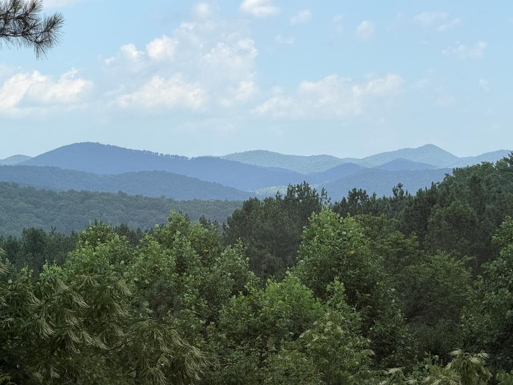 603 Redberry Ridge Road, Blue Ridge GA 30513 - Photo