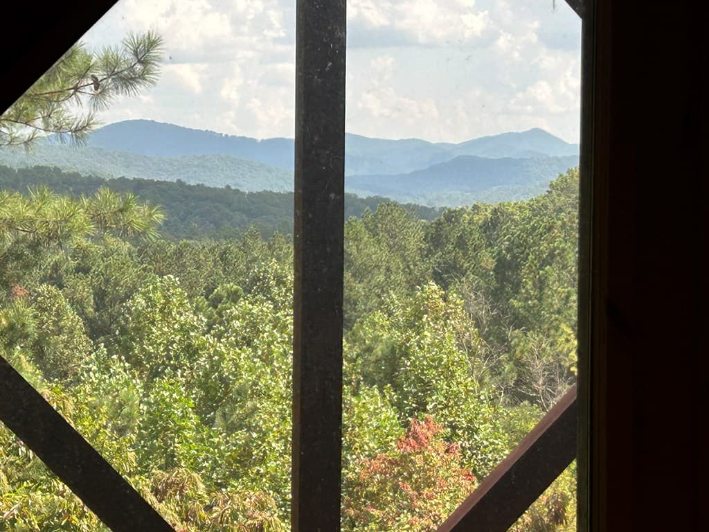 603 Redberry Ridge Road, Blue Ridge GA 30513 - Photo