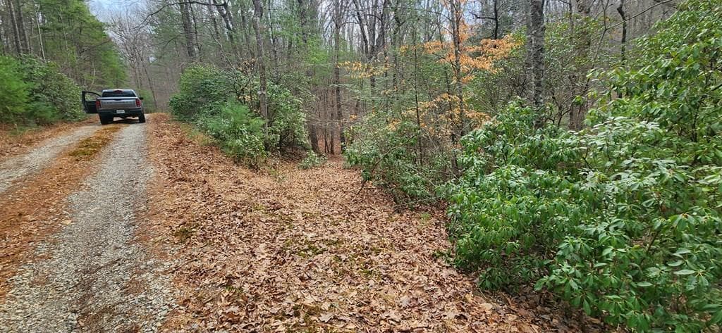 Lot 18 Gray Fox Trail, Blairsville GA 30512 - Photo