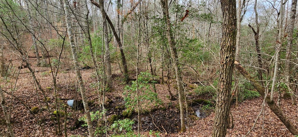 Lot 18 Gray Fox Trail, Blairsville GA 30512 - Photo