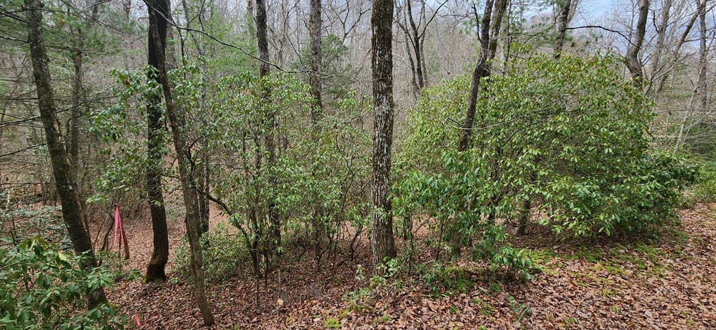 Lot 18 Gray Fox Trail, Blairsville GA 30512 - Photo