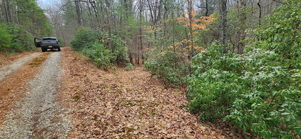 Lot 18 Gray Fox Trail, Blairsville GA 30512 - Photo