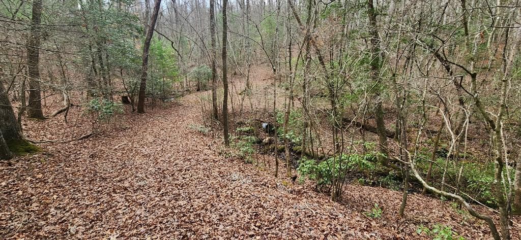 Lot 18 Gray Fox Trail, Blairsville GA 30512 - Photo