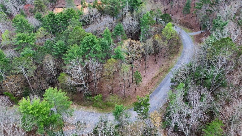 lot 108 Red Oak Trail, Ellijay GA 30540 - Photo