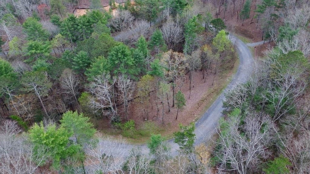 lot 108 Red Oak Trail, Ellijay GA 30540 - Photo