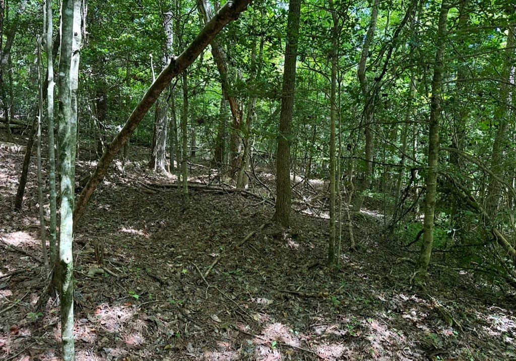 lot 108 Red Oak Trail, Ellijay GA 30540 - Photo