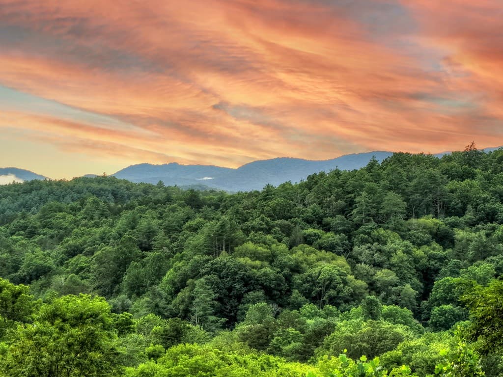 160 Mountain Field Drive, Suches GA 30572 - Photo