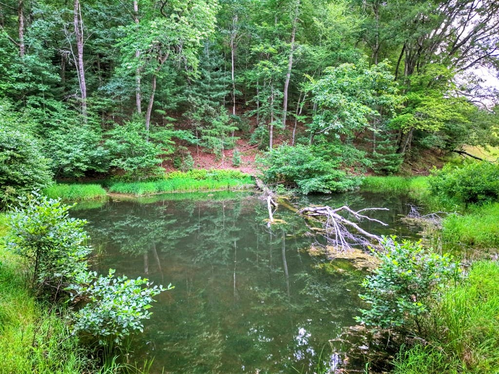 160 Mountain Field Drive, Suches GA 30572 - Photo