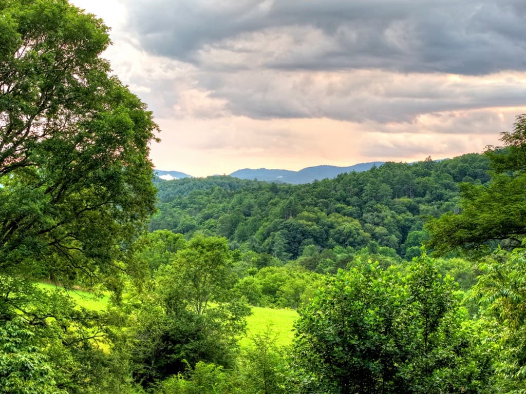 160 Mountain Field Drive, Suches GA 30572 - Photo