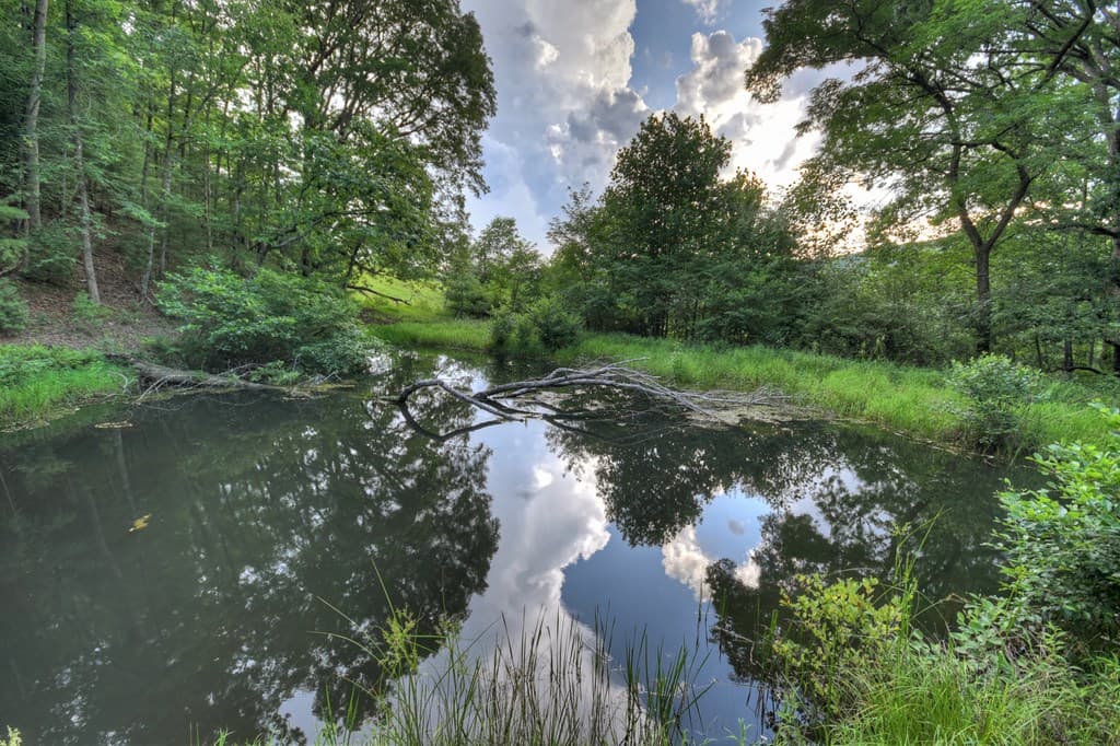 160 Mountain Field Drive, Suches GA 30572 - Photo