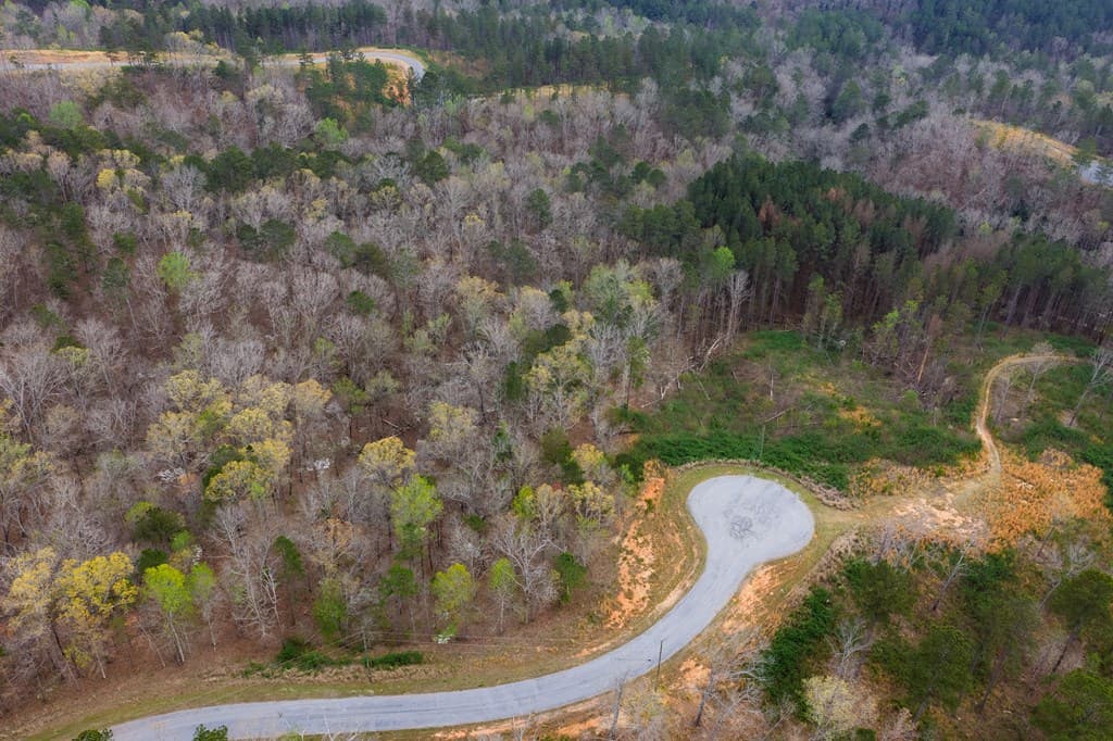 Lot 43 Bucktail Way, Talking Rock GA 30175 - Photo