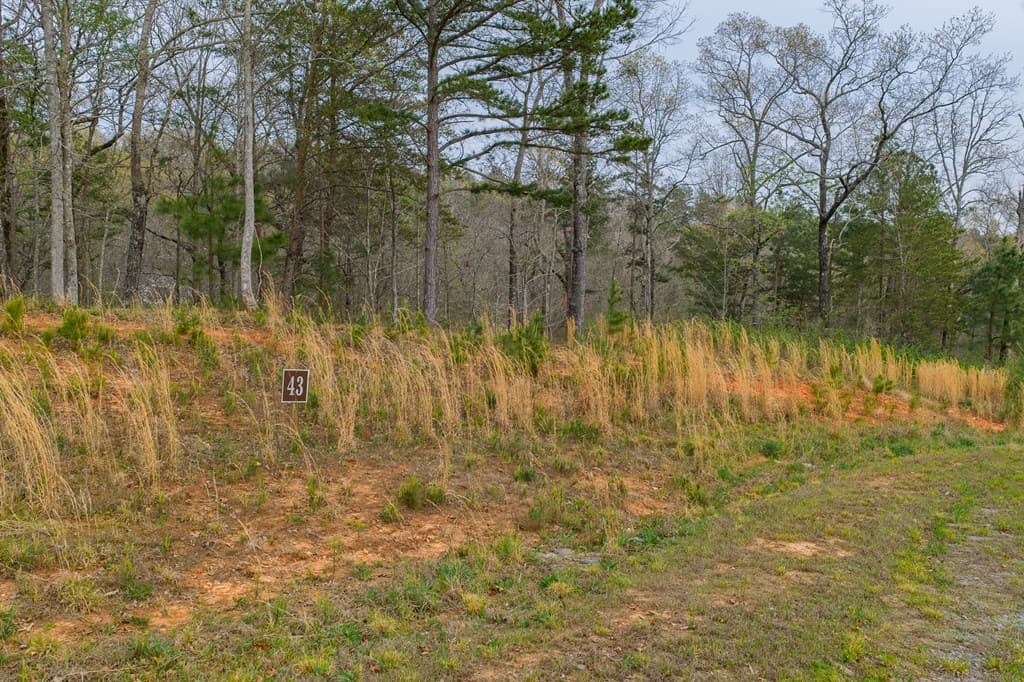 Lot 43 Bucktail Way, Talking Rock GA 30175 - Photo