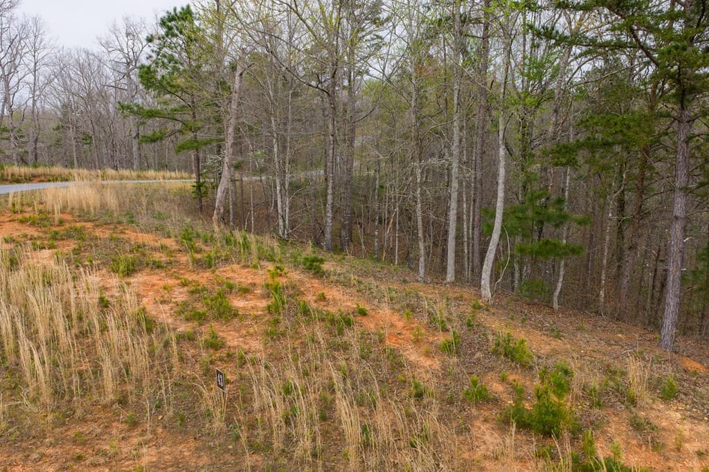 Lot 43 Bucktail Way, Talking Rock GA 30175 - Photo